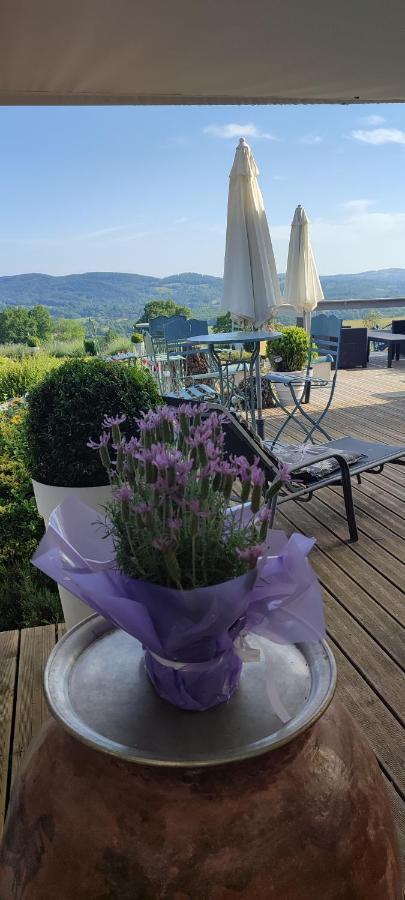 Domaine Le Lanis Chambre D'Hotes Piscine Spa Privatise Sur Reservation Saint-Girons  Exterior photo